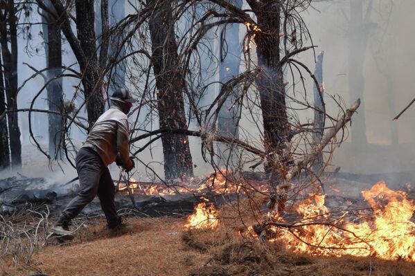 Најновији шумски пожари долазе годину дана након што су у најгорим пожарима у последњих неколико деценија опустошене десетине хиљада хектара у региону Патагоније, уништене десетине кућа, а једна особа погинула. - Sputnik Србија