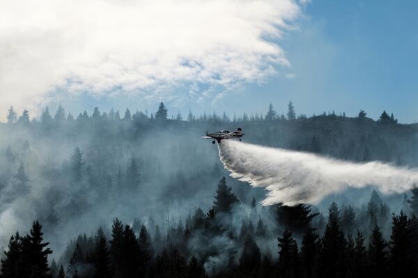 Напори на гашењу пожара отежани су због суше и јаких ветрова, док високи стубови дима смањују видљивост за спасиоце. - Sputnik Србија