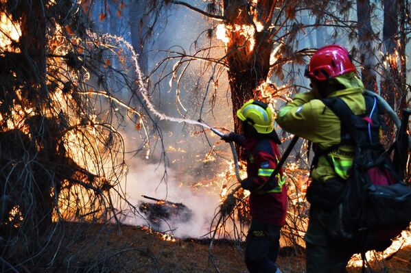 Поред пожара у Чубуту, активни су шумски пожари и у патагонијској провинцији Неукен, показују подаци Федералне агенције за ванредне ситуације. - Sputnik Србија