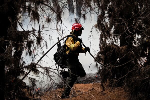 Узроци пожара још нису утврђени, али је гувернер Чубута, Игнасио Торес, рекао новинарима у четвртак да постоје индиције да је један од највећих активних пожара намерно подметнут. Торес је понудио награду од 50 милиона пезоса (око 34.000 долара) за свакога ко пружи информације о инциденту. - Sputnik Србија