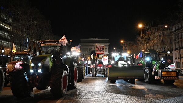 Протест пољопривредника у Паризу. - Sputnik Србија