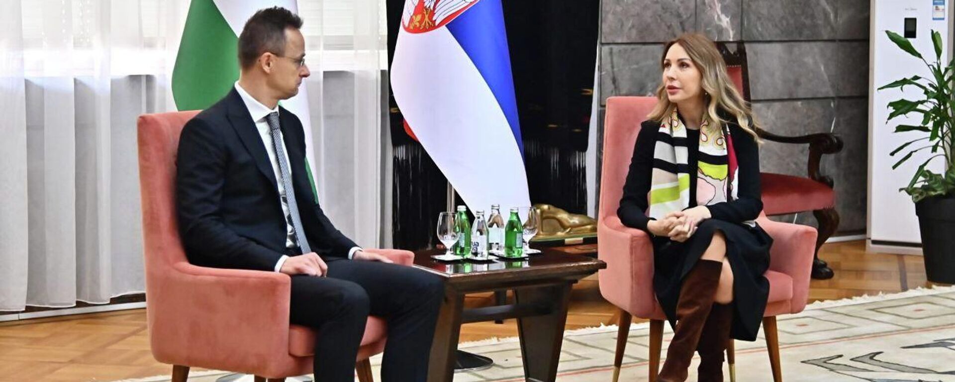 Дубравка Ђедовић и Петер Сијарто  - Sputnik Србија, 1920, 15.01.2026