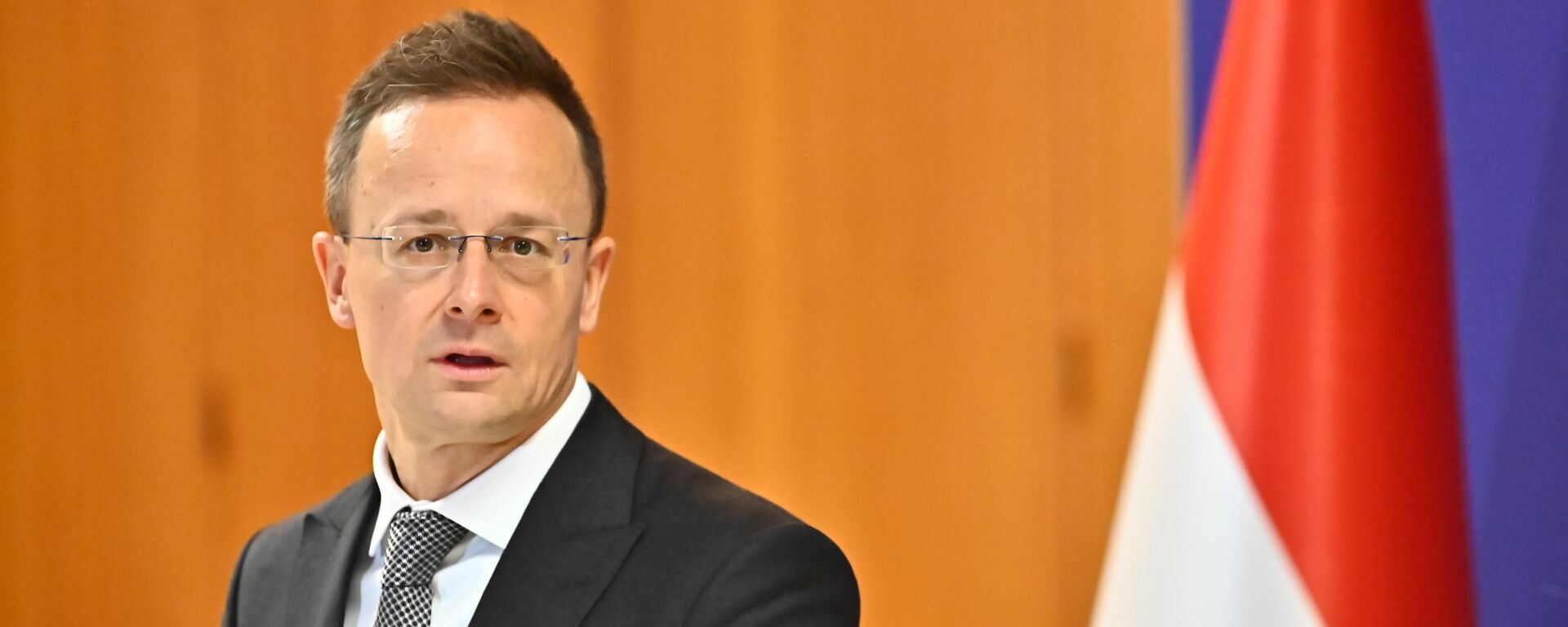 Peter Sijarto  - Sputnik Srbija, 1920, 18.01.2026