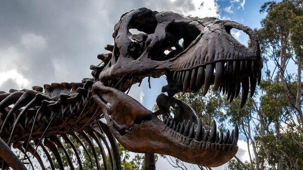 тираносаурус рекс - Sputnik Србија