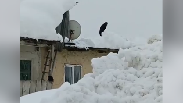 Снег у Турској. - Sputnik Србија