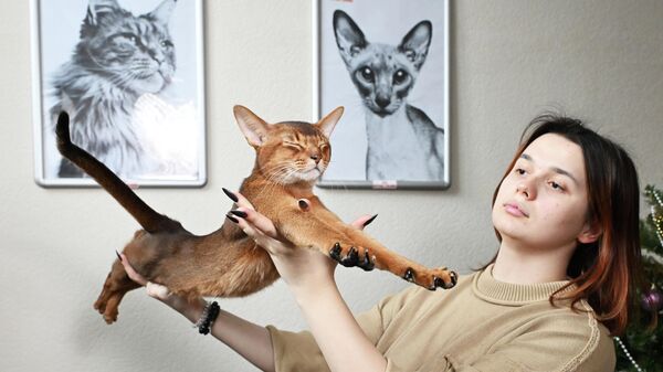 Шампион из Русије: Како изгледа најлепша мачка на свету /фото/