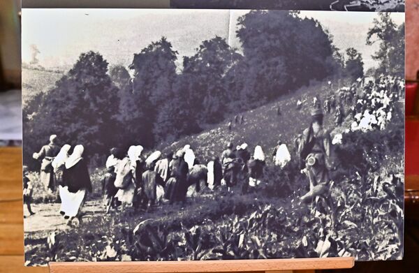 У јасеновачки систем логора највећим бројем довођени су Срби, а затим и Јевреји, Роми и политички противници других националности, оба пола и свих узраста - Sputnik Србија