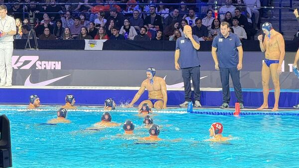 Вицо и Драшовић за Спутњик пред Мађаре: „Нека бију – тући ћемо и ми“