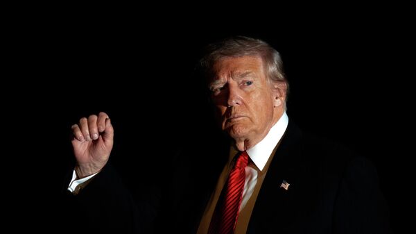 Амерички председник Доналд Трамп - Sputnik Србија