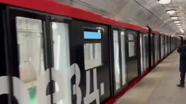 Voz bez vozača - Sputnik Srbija