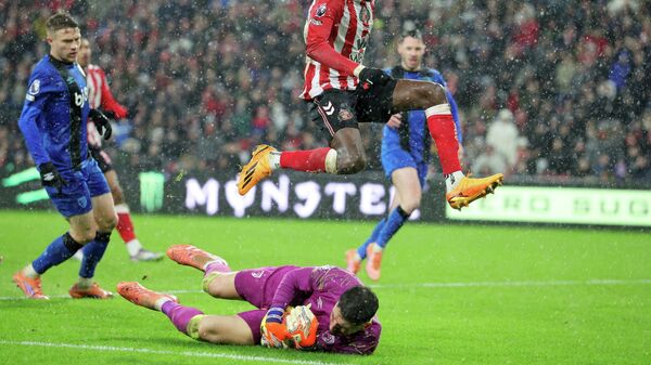 Đorđe Petrović - Sputnik Srbija