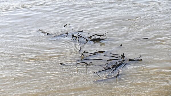 Грање у реци - Sputnik Србија