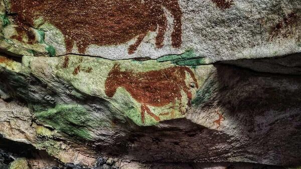 Šablon ruke u indonežanskoj pećini najstariji poznati crtež na svetu - Sputnik Srbija