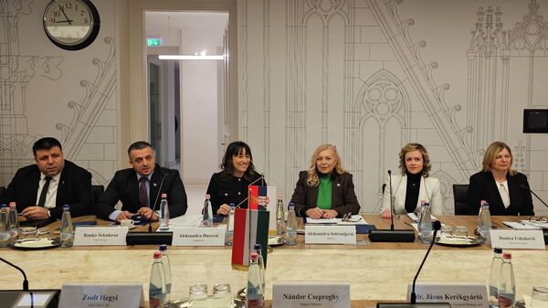 Министарка Александра Софронијевић на састанку са делегацијом Мађарске. - Sputnik Србија