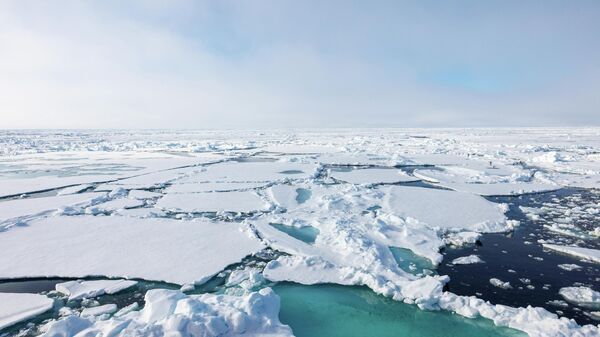 Arktik - Sputnik Srbija