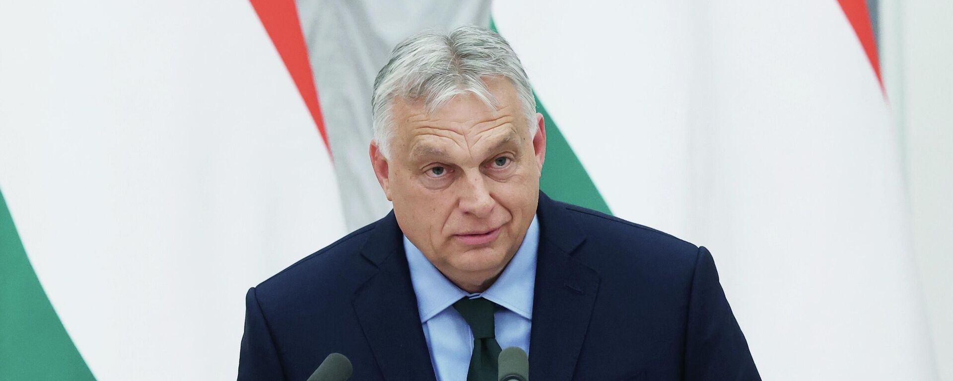 Мађарски премијер Виктор Орбан - Sputnik Србија, 1920, 03.03.2026