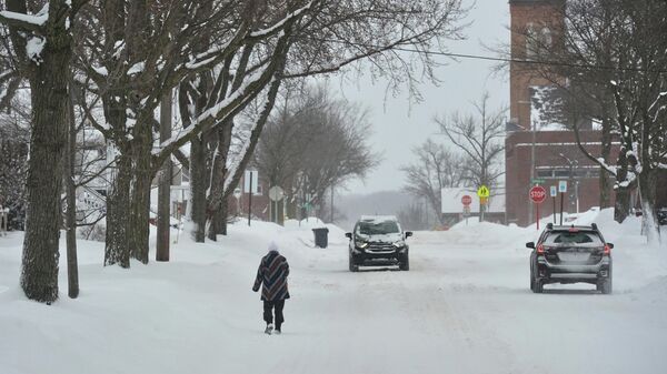Мичиген невреме - Sputnik Србија