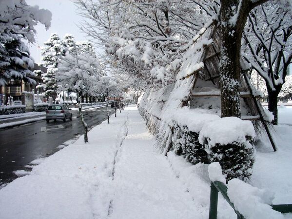 Тојама је главни град префектуре Тојама и један од градова са највише снега на свету. Скоро сав снег у Тојами пада између децембра и марта, а јануар се обично сматра месецом са највише снежног покривача. - Sputnik Србија