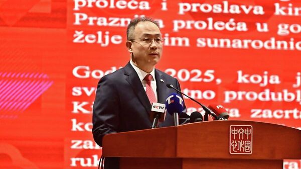 Србија и Кина постављају модел за изградњу новог типа међународних односа /фото, видео/