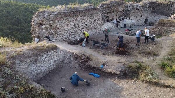 Археолози сарађују са локалном организацијом Еко Копријан чији чланови помажу да се планирани посао заврши у предвиђеном року - Sputnik Србија