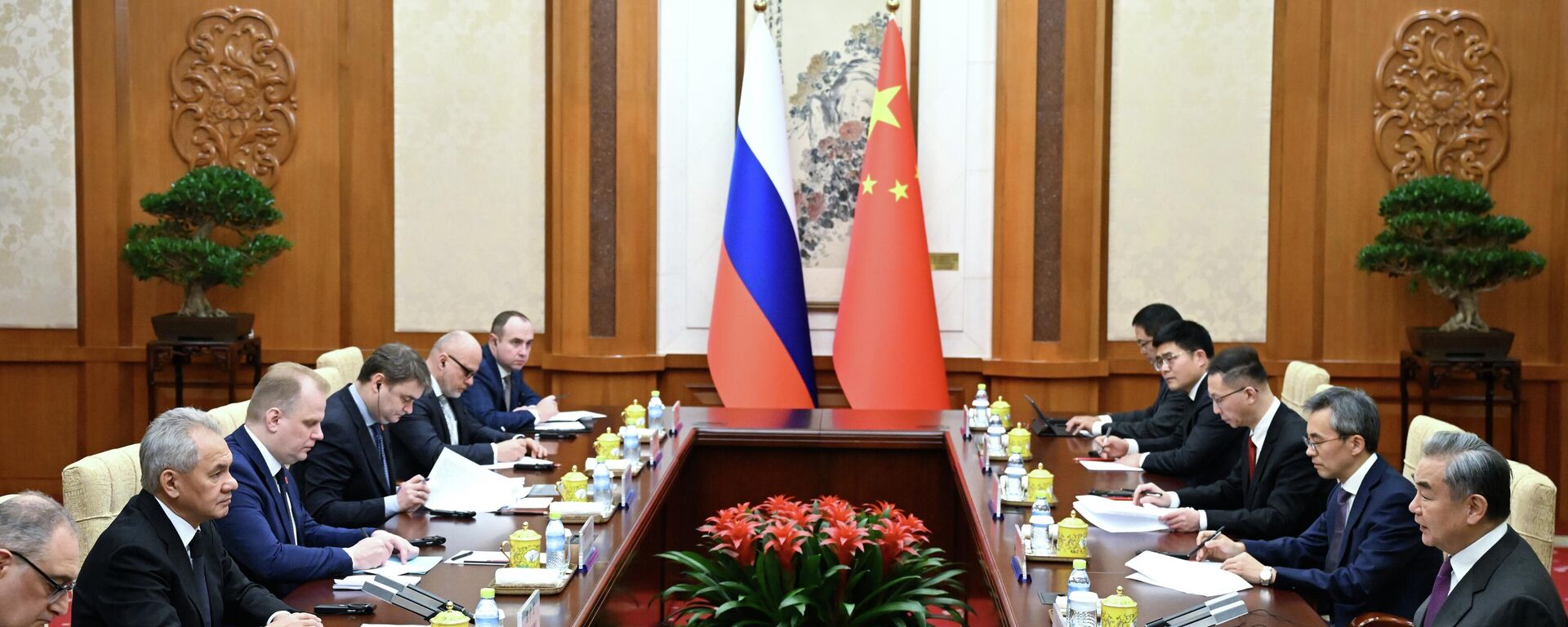 Сергеј Шојгу на састанку са Ван Јием у Пекингу - Sputnik Србија, 1920, 01.02.2026