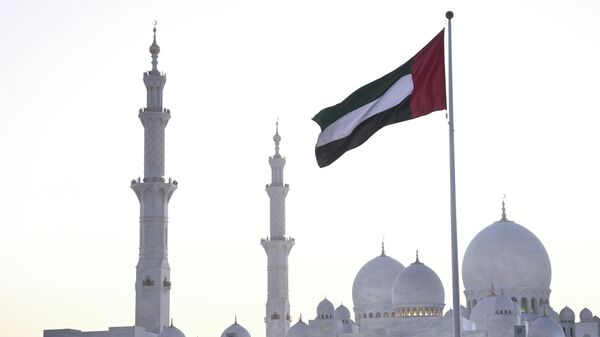 Džamija šeiha Zaida u Abu Dabiju - Sputnik Srbija