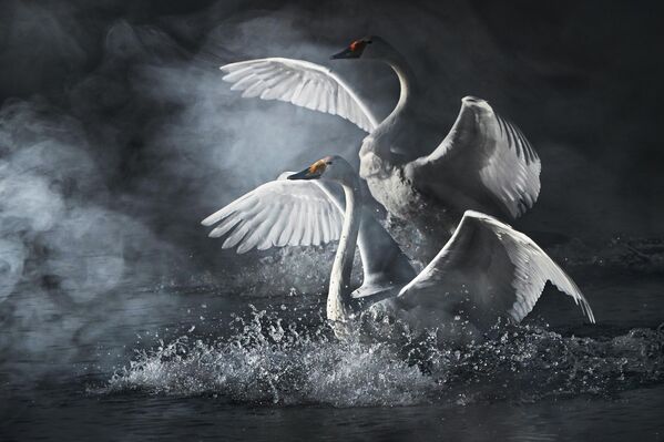 Površina Svtelog jezera je relativno mala (oko 1 km duga, 400 m široka), a voda je veoma čista i prozračna. - Sputnik Srbija