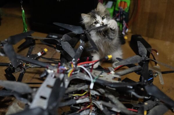 Саперска лабораторија батаљонске тактичке групе „Каштана“, и мачка која помаже. - Sputnik Србија