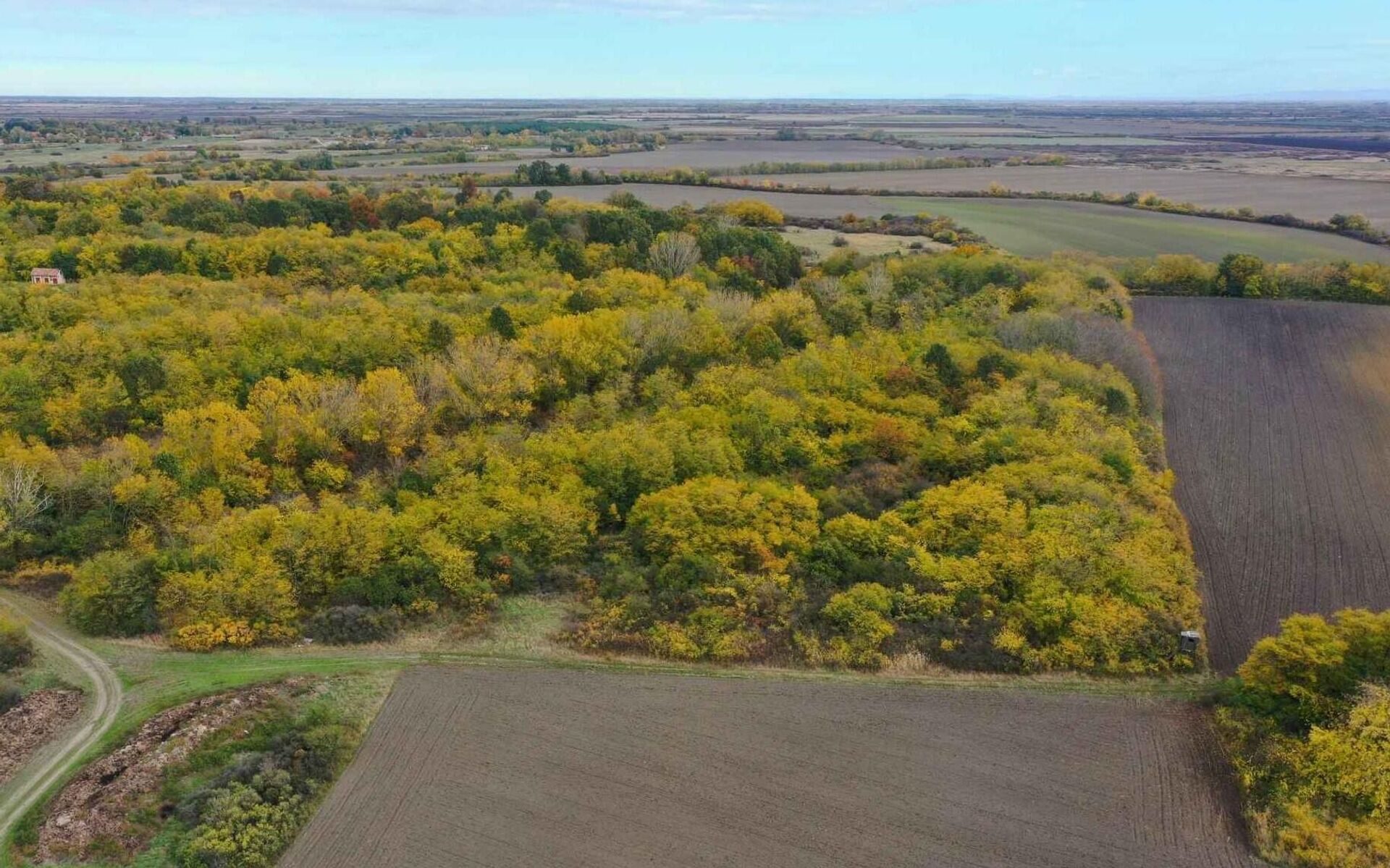 Прва шума у власништву удружења грађана у историји Србије - која ће и остати шума - Sputnik Србија, 1920, 05.02.2026