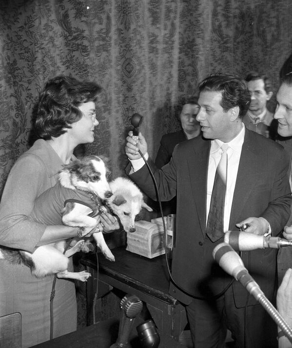 Прилику да се чују на Московском радију имали су и пси који су били у свемиру - Белка и Стрелка. - Sputnik Србија