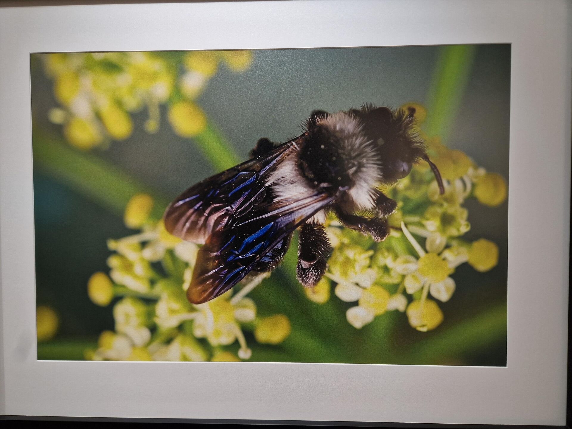 сенка - Sputnik Србија, 1920, 12.02.2026