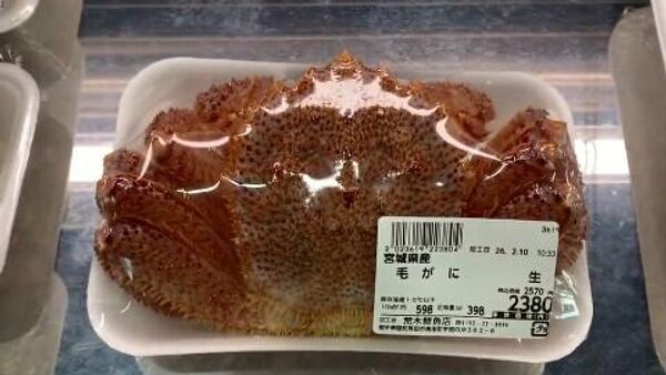  - Sputnik Србија