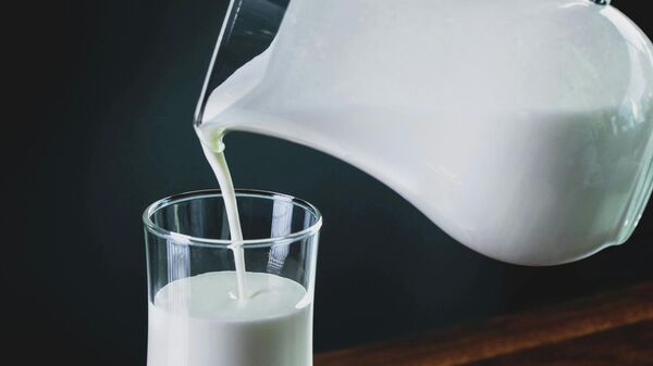 Mleko - Sputnik Srbija