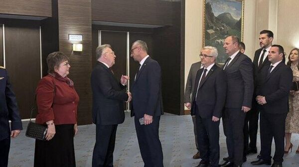 Prijem u Ruskoj ambasadi u BiH - Sputnik Srbija