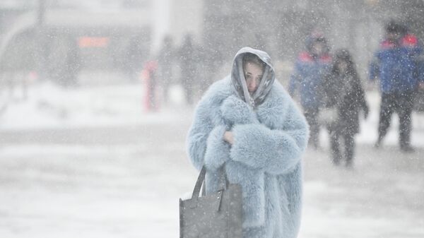 Снегопад в Москве  - Sputnik Србија