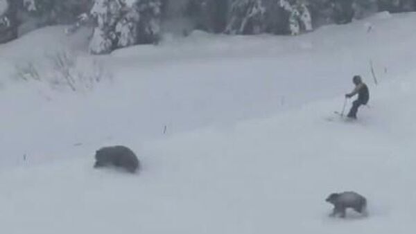  - Sputnik Србија