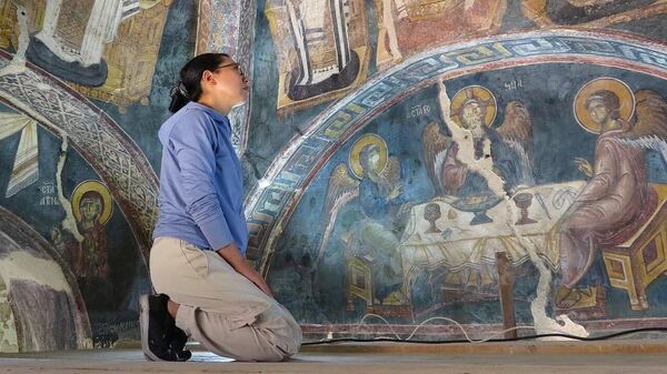 Istoričarka umetnosti Saći Šimada - Sputnik Srbija