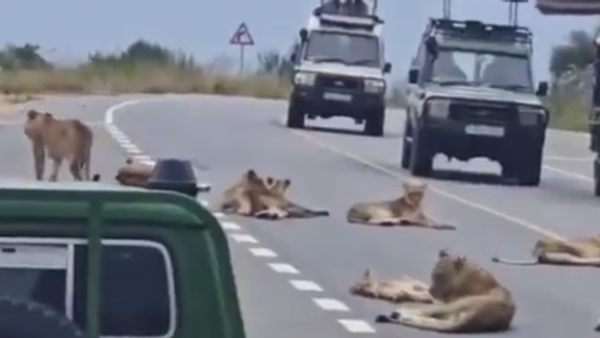 Забрањен пролаз /видео/