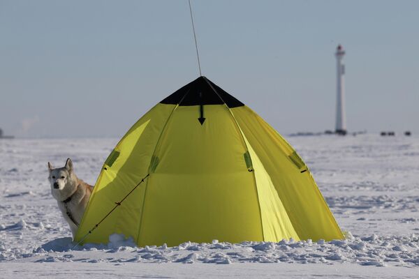 Ова појава привукла је бројне грађане који су изашли на лед како би прошетали, фотографисали се и уживали у необичном призору. - Sputnik Србија