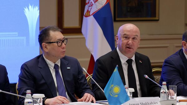 Ministar u Vladi Republike Srbije Nenad Popović  - Sputnik Srbija