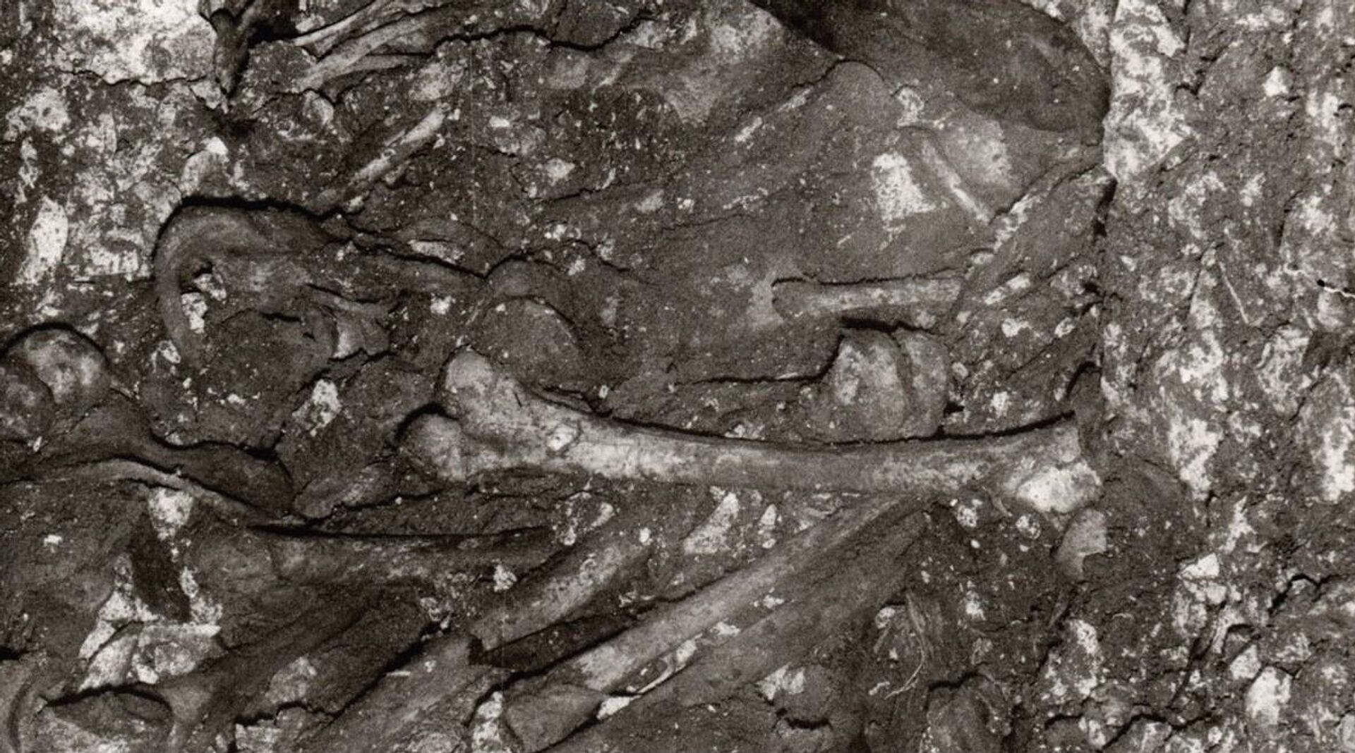 Кости страдалих Срба на дну јаме Јагодњаче – Ржани до - Sputnik Србија, 1920, 27.02.2026