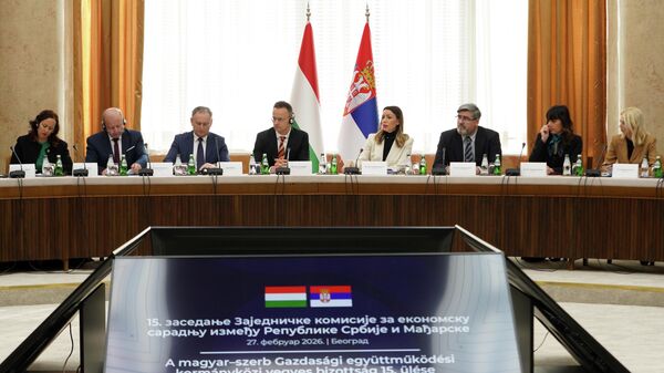 Sednica Zajedničke komisije za ekonomsku saradnju Srbije i Mađarske. - Sputnik Srbija