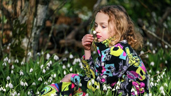 Први весници пролећа: Прелепи призори са Крима /фото/