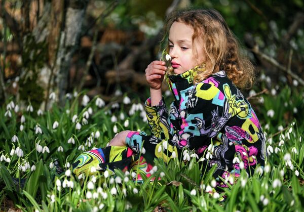 Планински падини обрасли су боровима, храстовима и чемпресима, што ствара посебан мирис и микроклиму погодну за одмор. - Sputnik Србија