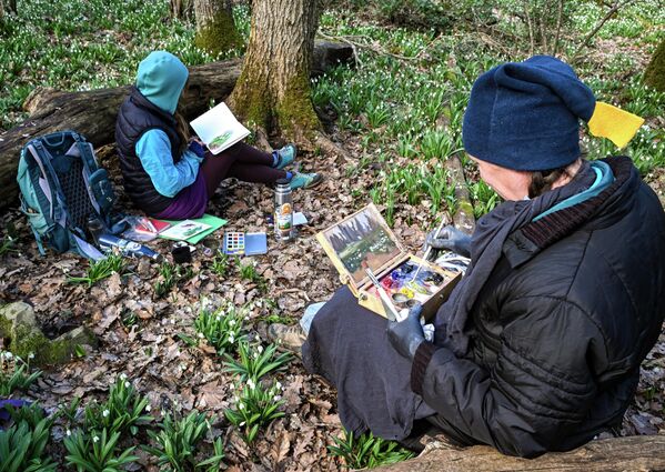 Уметници сликају висибабе на планини Ају-Даг. - Sputnik Србија