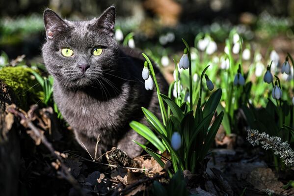 Крим је богат крашким пећинама, водопадима и кањонима, што га чини популарним за планинарење и истраживање природе. - Sputnik Србија