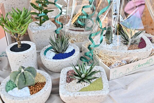 Поред  резаног, многи се одлучују за саксијско цвеће где креативност занатлија у паковању и аранжирању истог долази до изражаја - Sputnik Србија