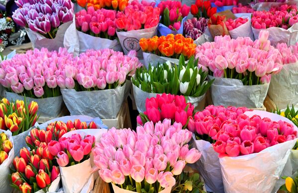 Осми март као празник посвећен женама установљен је 1910. на Другој међународној конференцији жена социјалиста у Копенхагену, на иницијативу Кларе Цеткин, вође женског радничког покрета. - Sputnik Србија