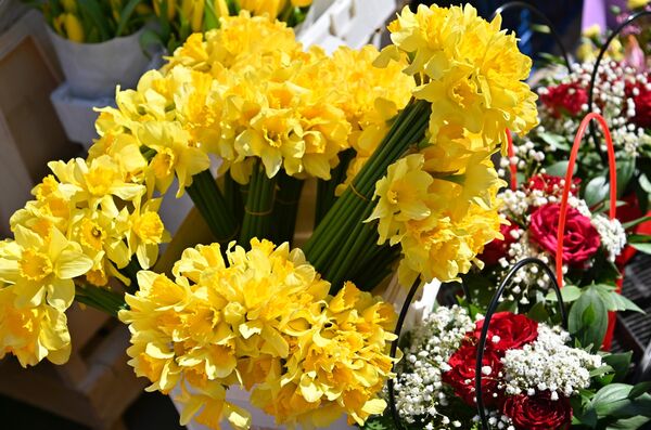 За разлику од Европе, у Русији је готово незамисливо не поклонити жени цвет поводом 8. марта - Sputnik Србија