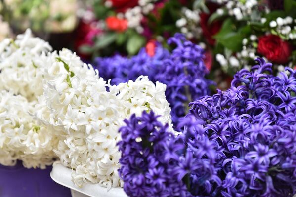 Зумбули као неизоставни весник пролећа - Sputnik Србија